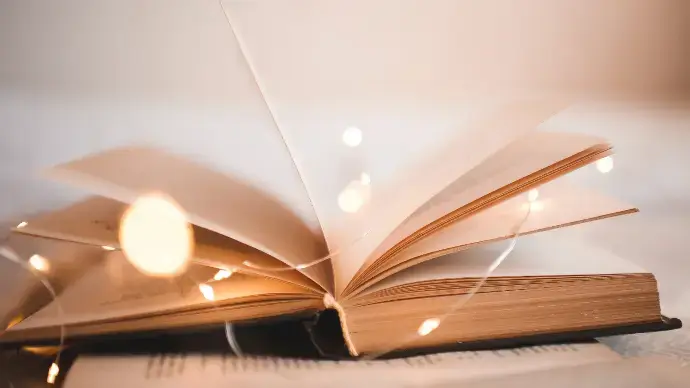 Producer Subscription